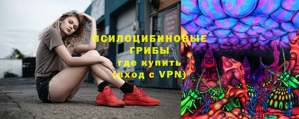 PSILOCYBIN Абдулино