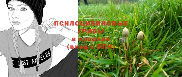 PSILOCYBIN Абдулино