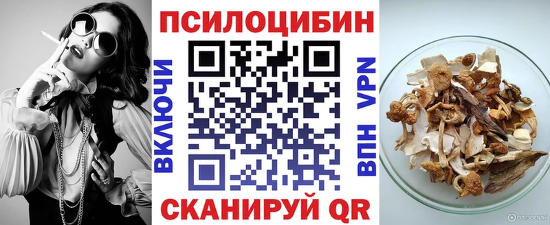 блэк спрут зеркало  Костерёво  Псилоцибиновые грибы Magic Shrooms 